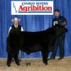 DRSS Seuss Tradition 93X 
CWA 2010 Grand Champion Percentage Bull over all ages.