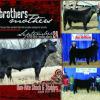 Brothers From Different Mothers Steer and Heifer Sale 2011.