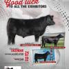 June 2016 TopStock and Junior National Ad