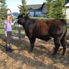 Teagan Moffatt, first year member who had a great year with her steer.